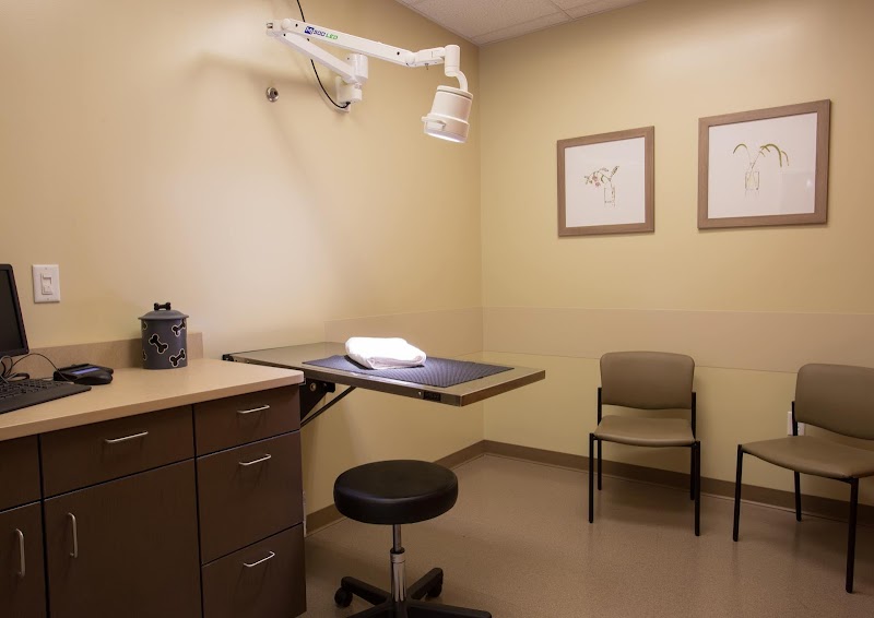 Four Seasons Veterinary Specialists