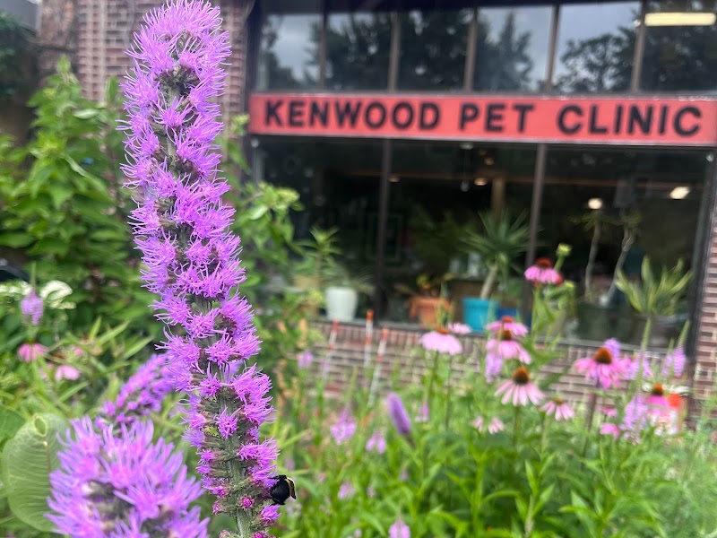 Kenwood Pet Clinic