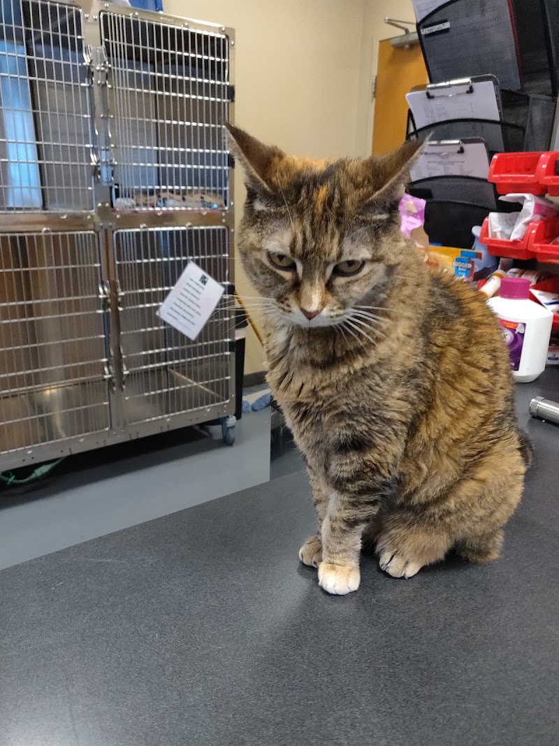 Village West Veterinary