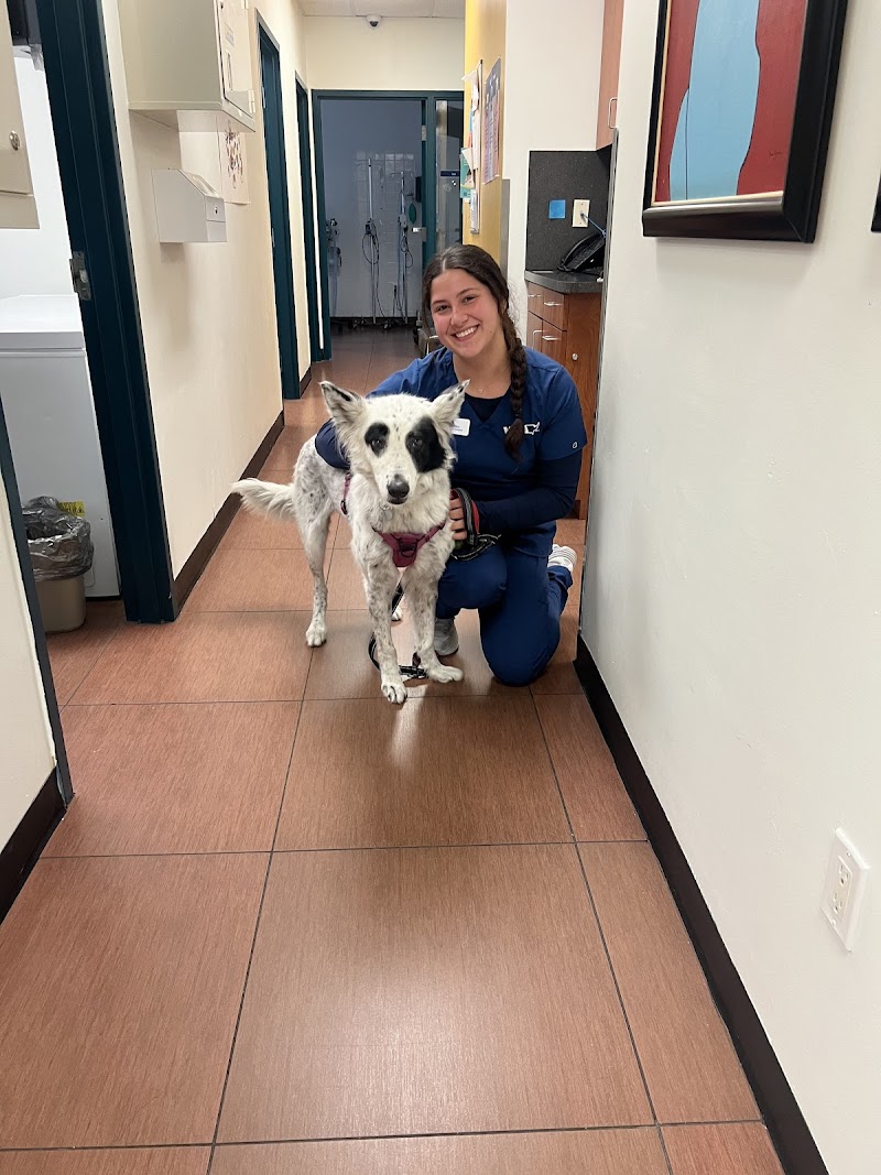 VCA Cabrera Animal Hospital - West Miami