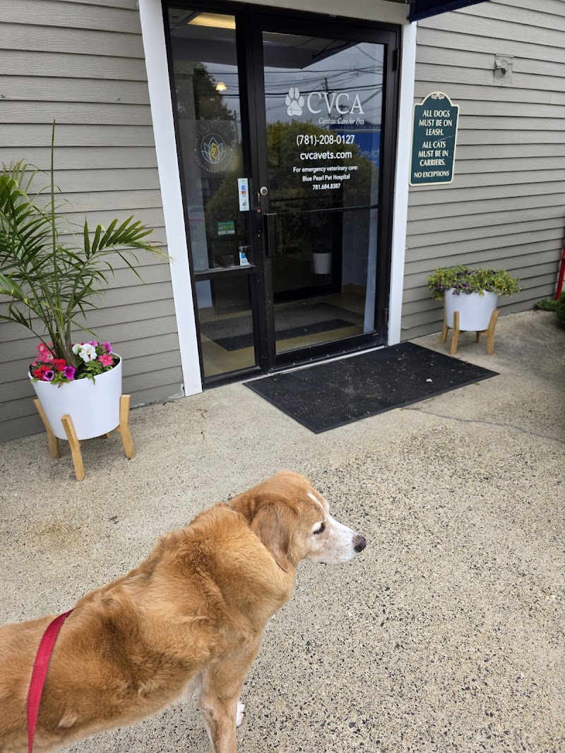 CVCA Cardiac Care for Pets - Waltham