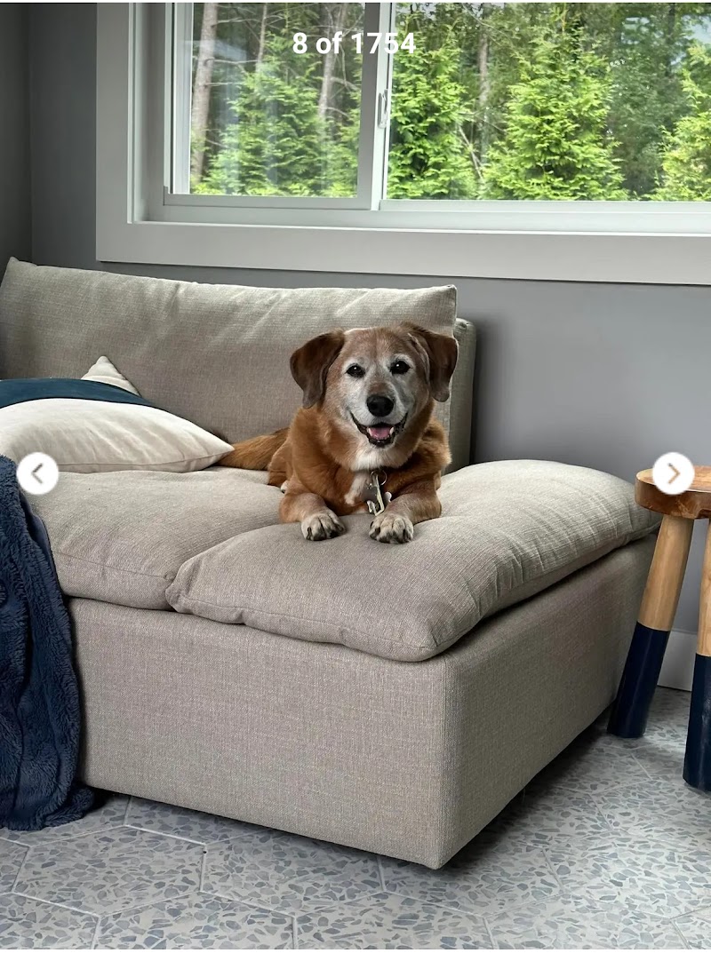 CVCA Cardiac Care for Pets - Waltham