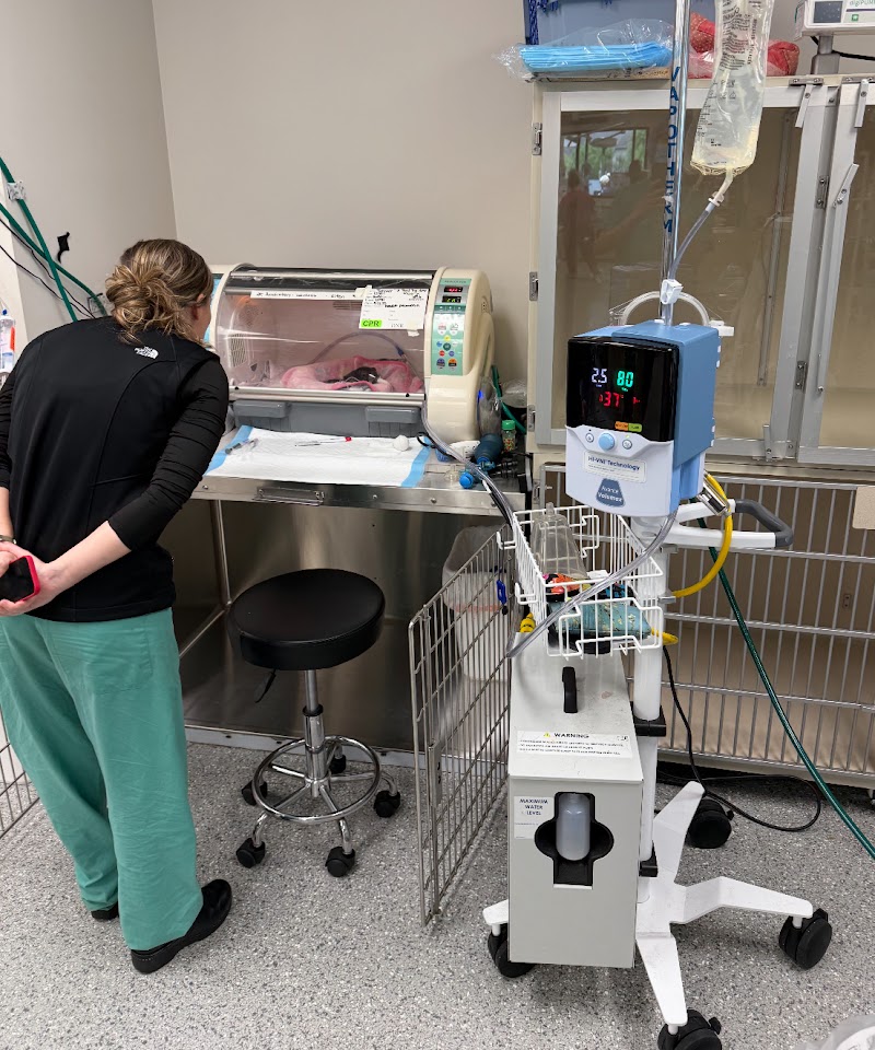 Dogwood Veterinary Specialty & Emergency