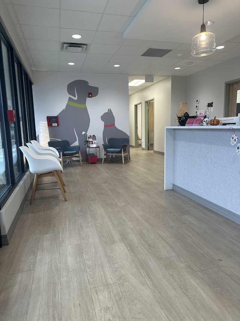 Dogwood Veterinary Specialty & Emergency - Marietta