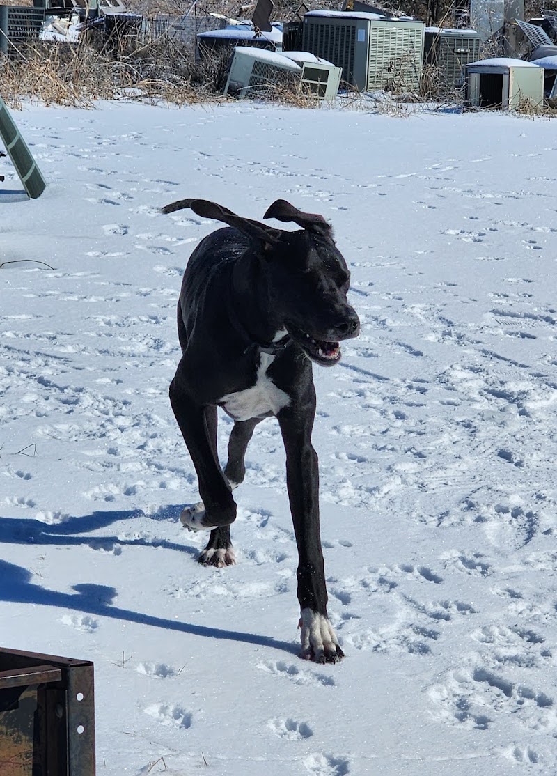Grayson County Animal Emergency Clinic