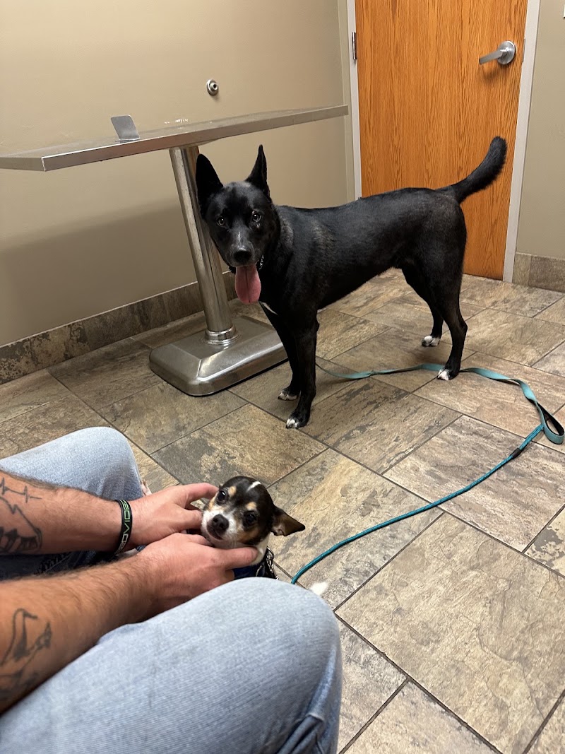 Pine Cone Pet Hospital