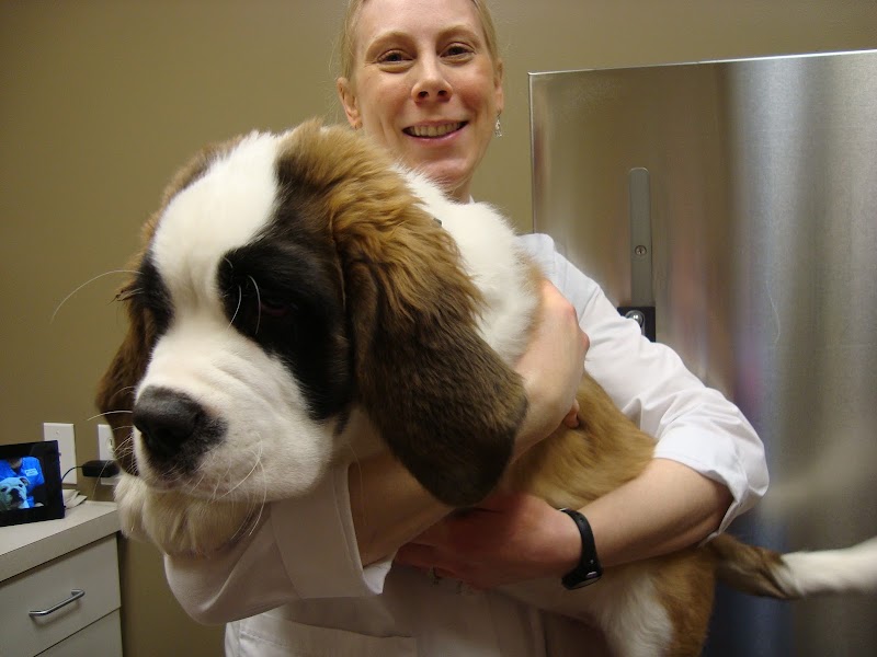 Pine Cone Pet Hospital