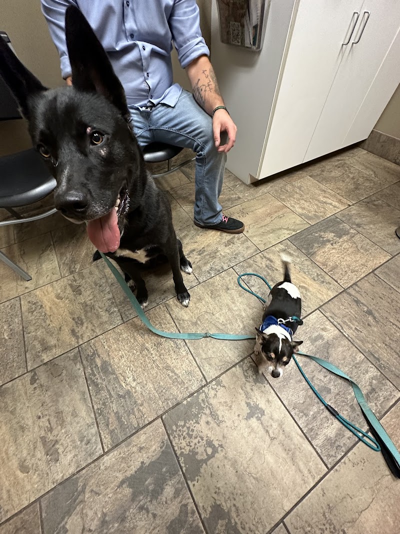 Pine Cone Pet Hospital