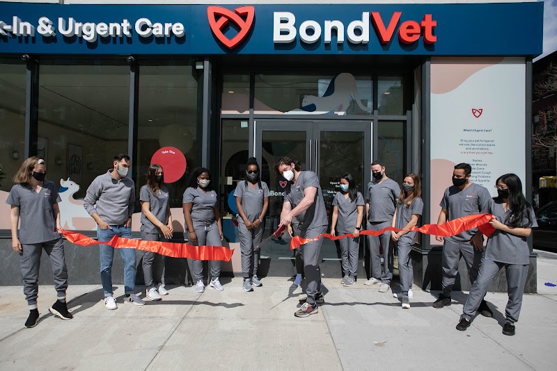 Bond Vet - Hell's Kitchen