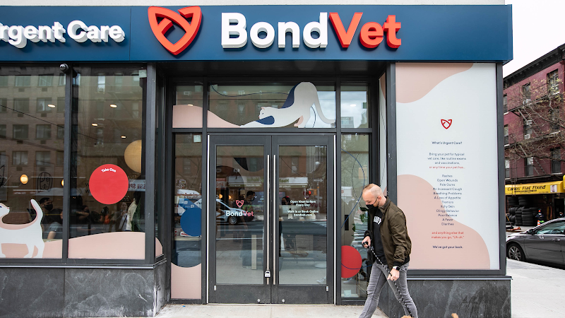 Bond Vet - Hell's Kitchen