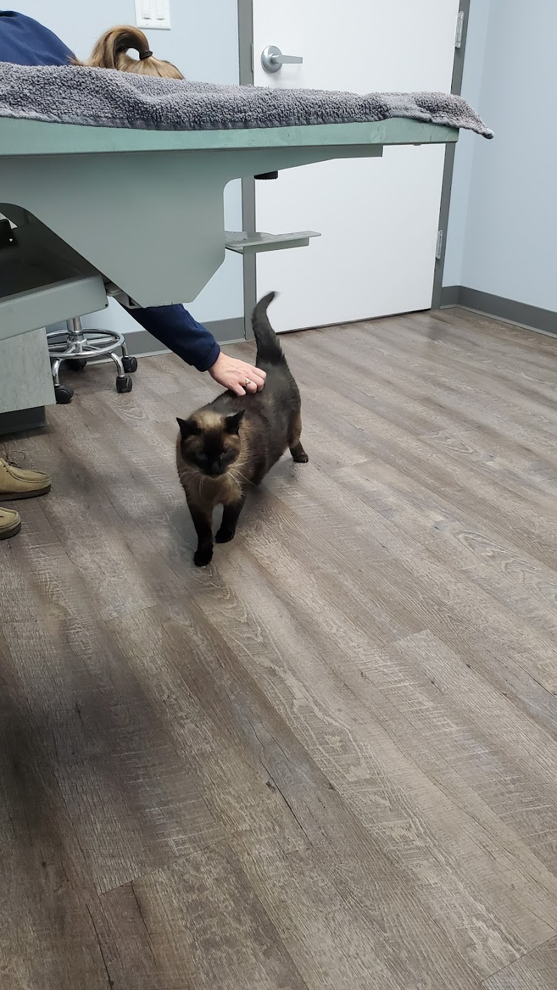 Inspire Animal Hospital