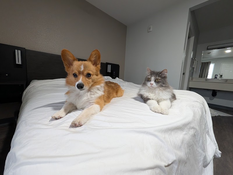 Canyon Creek Pet Hospital