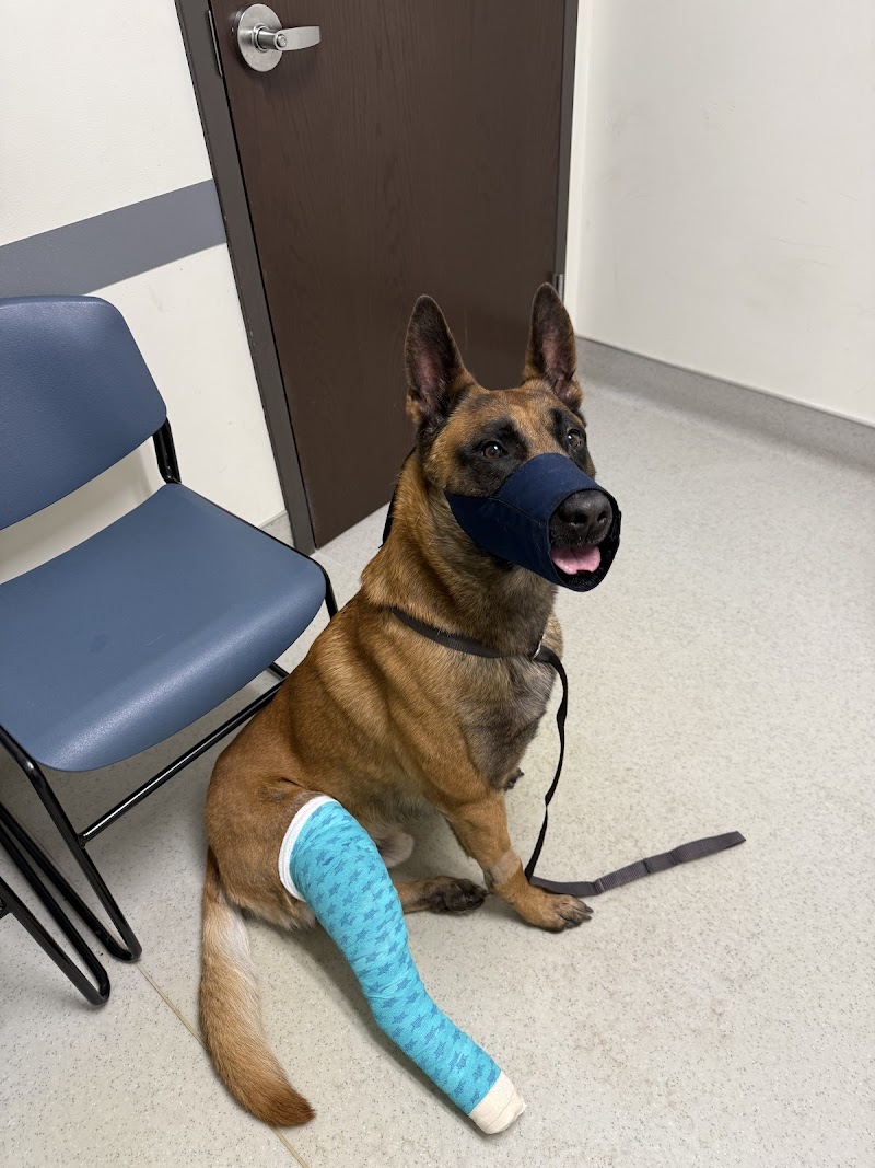 Veterinary Orthopedic Center