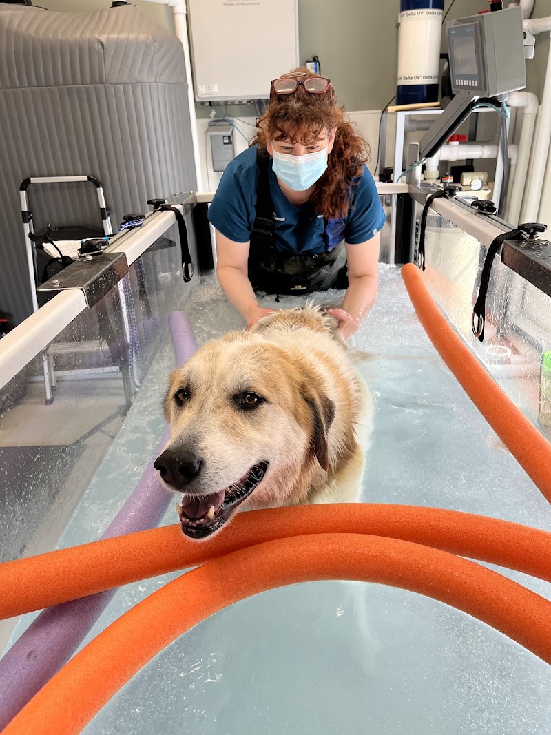 Veterinary Orthopedic Center