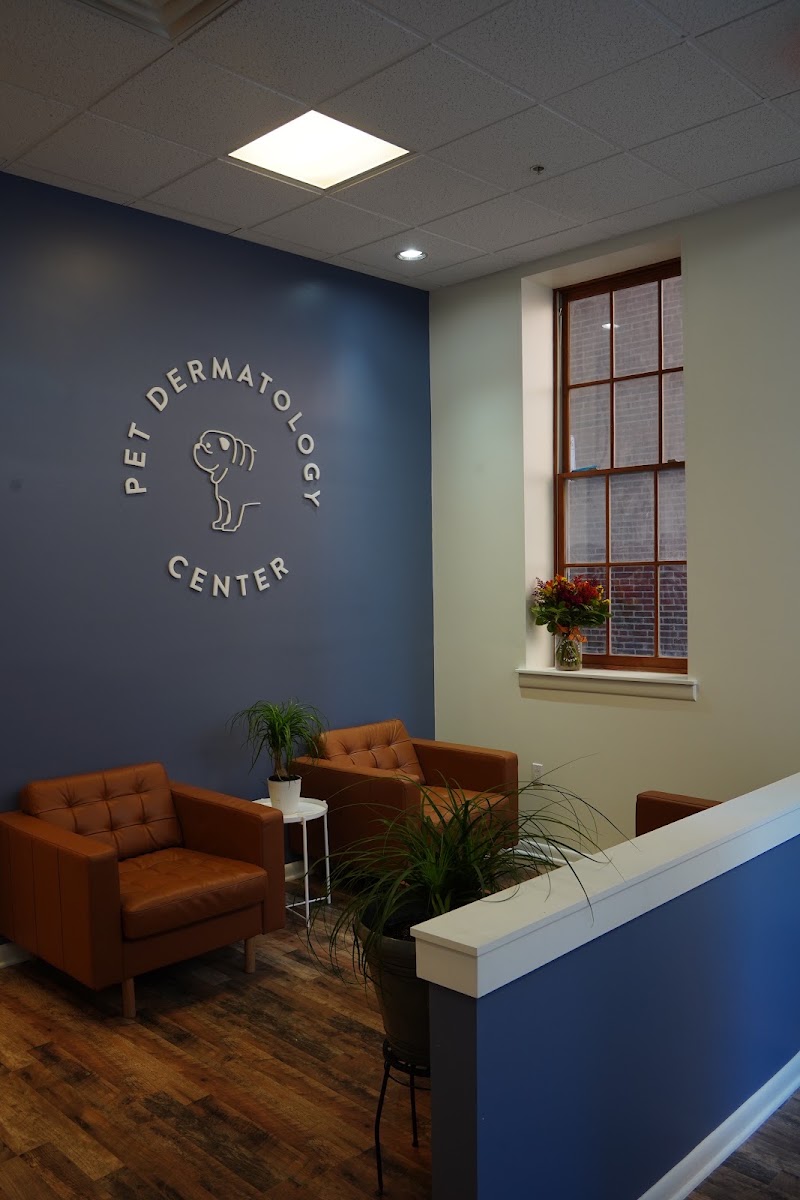Pet Dermatology Center Philly