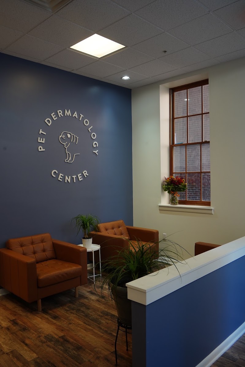 Pet Dermatology Center Philly