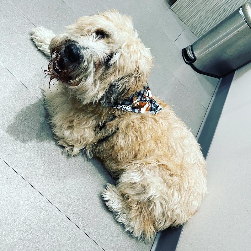 Fur & Feather Veterinary Hospital