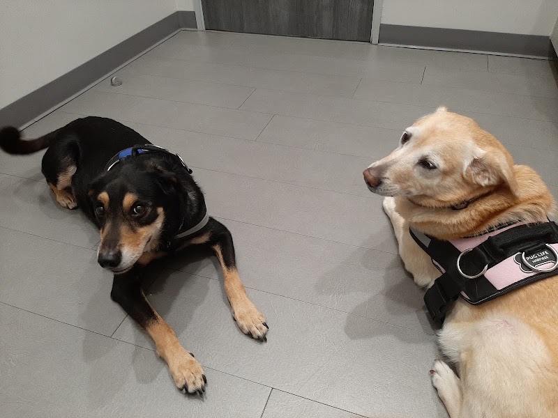 Fur & Feather Veterinary Hospital