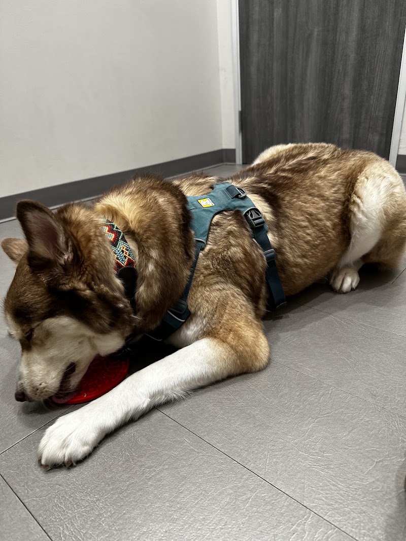 Fur & Feather Veterinary Hospital