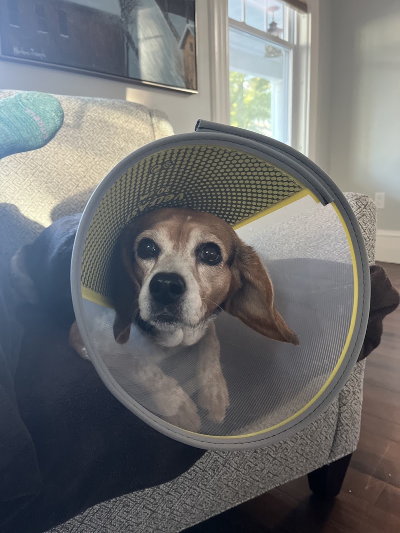 Veterinary Urgent Care Center - Dedham