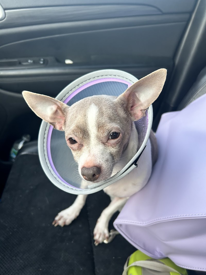 Veterinary Urgent Care Center - Dedham