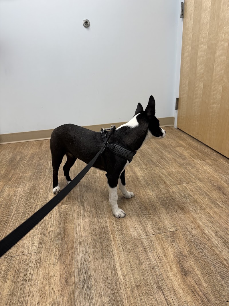 Veterinary Urgent Care Center - Dedham