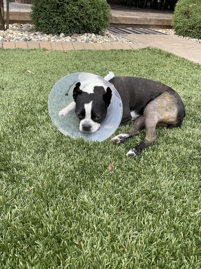 Veterinary Orthopedic Surgery Center