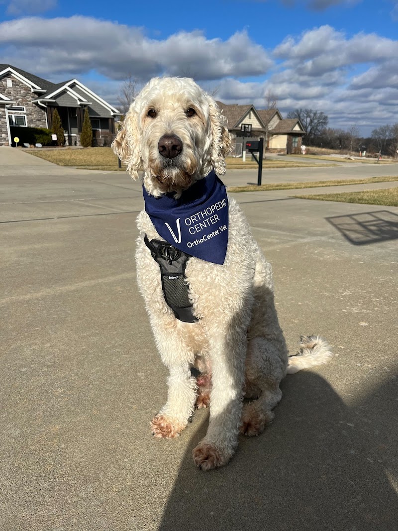 Veterinary Orthopedic Surgery Center