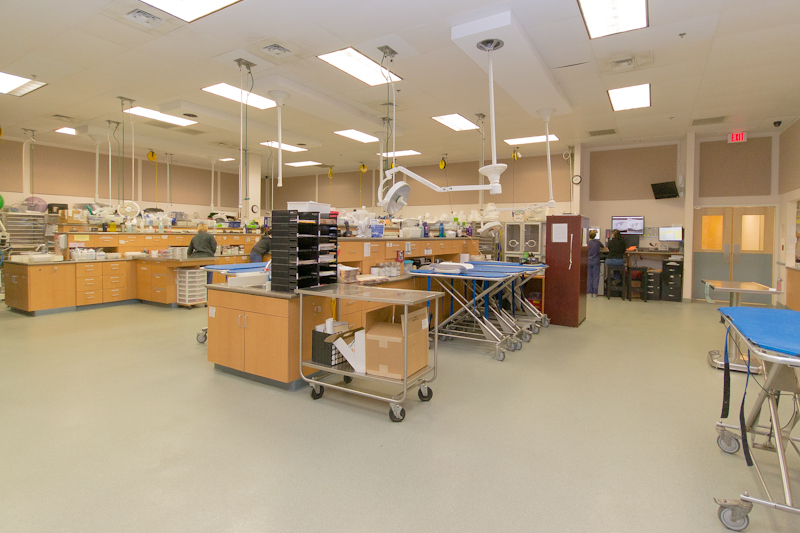 Metropolitan Veterinary Associates