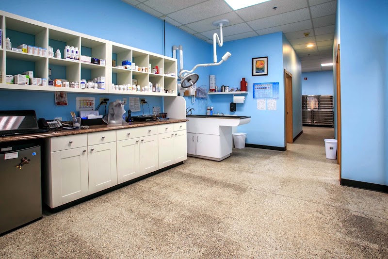 Finn Hill Animal Hospital Kirkland WA