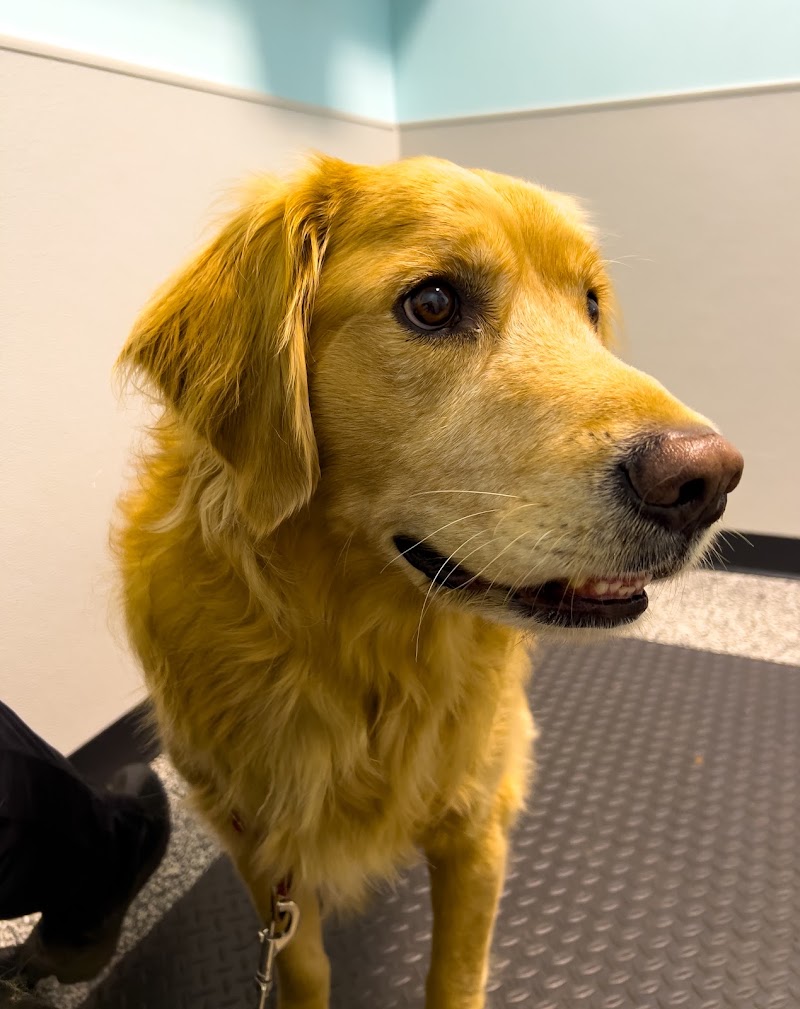 Finn Hill Animal Hospital Kirkland WA
