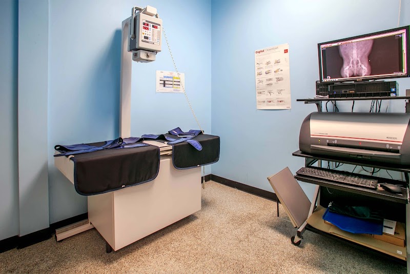 Finn Hill Animal Hospital Kirkland WA