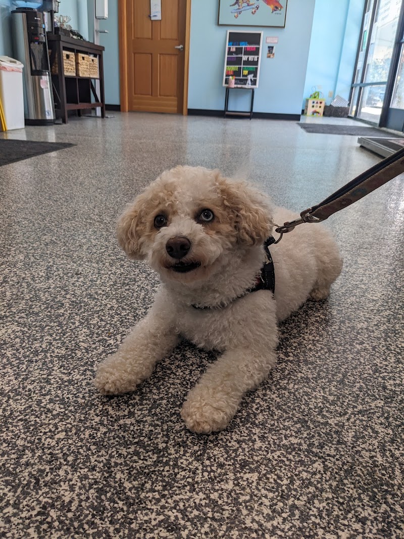 Finn Hill Animal Hospital Kirkland WA
