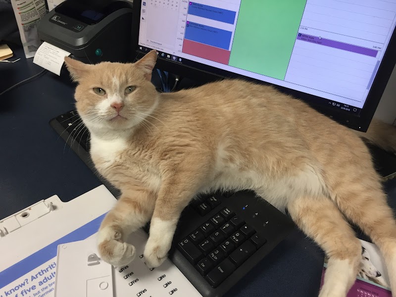 VCA Animal Care Hospital