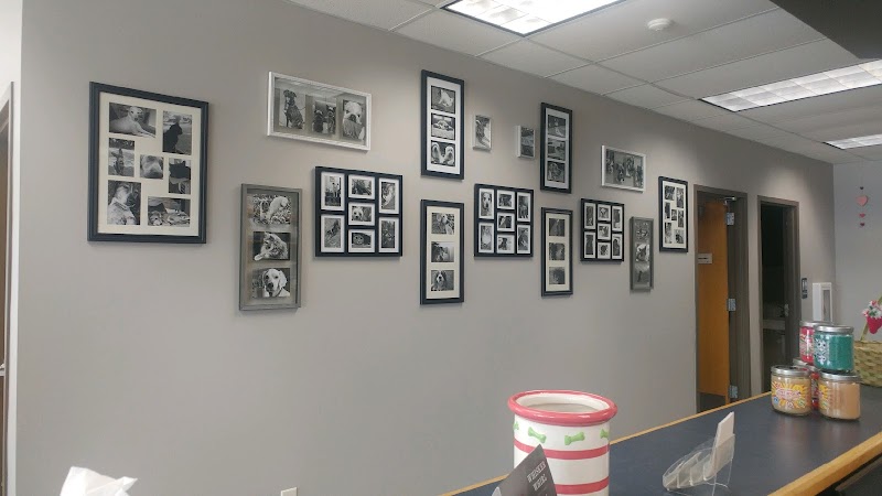 VCA Animal Care Hospital