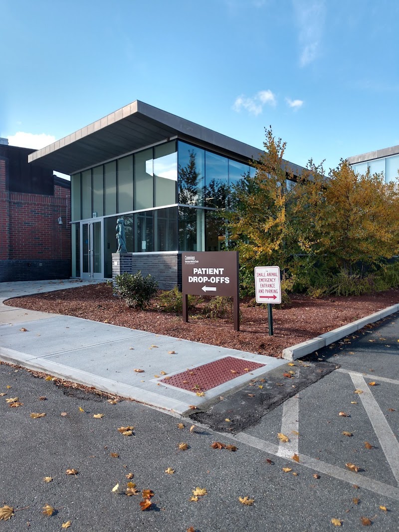 Cummings School of Veterinary Medicine at Tufts University