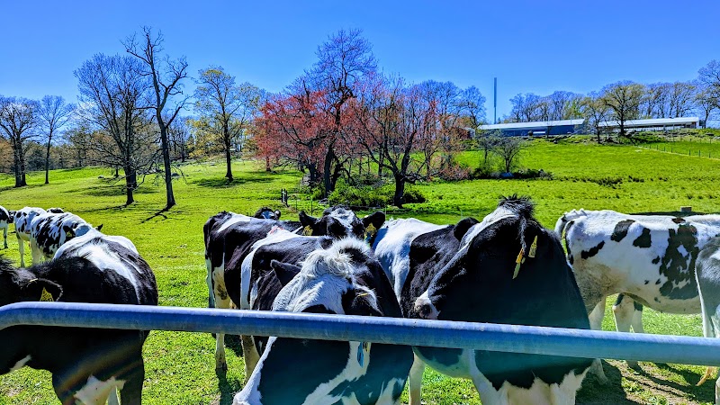 Cummings School of Veterinary Medicine at Tufts University