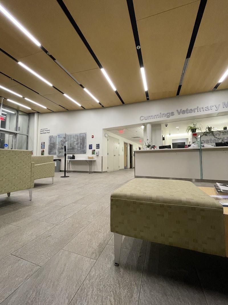 Cummings School of Veterinary Medicine at Tufts University