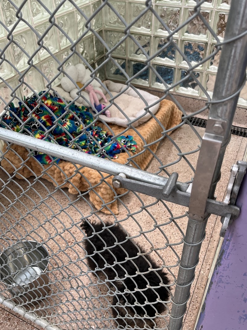 Pennsylvania SPCA