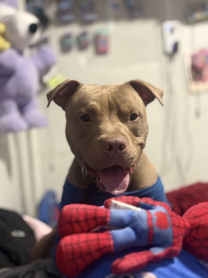 Pennsylvania SPCA