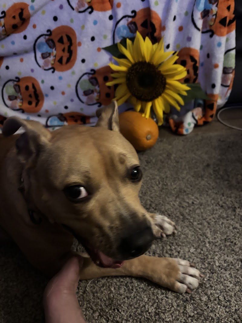 Pennsylvania SPCA