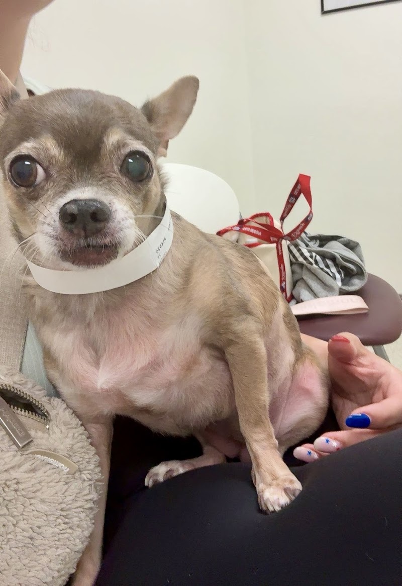 UC Davis Veterinary Hospital - Small Animal Clinic