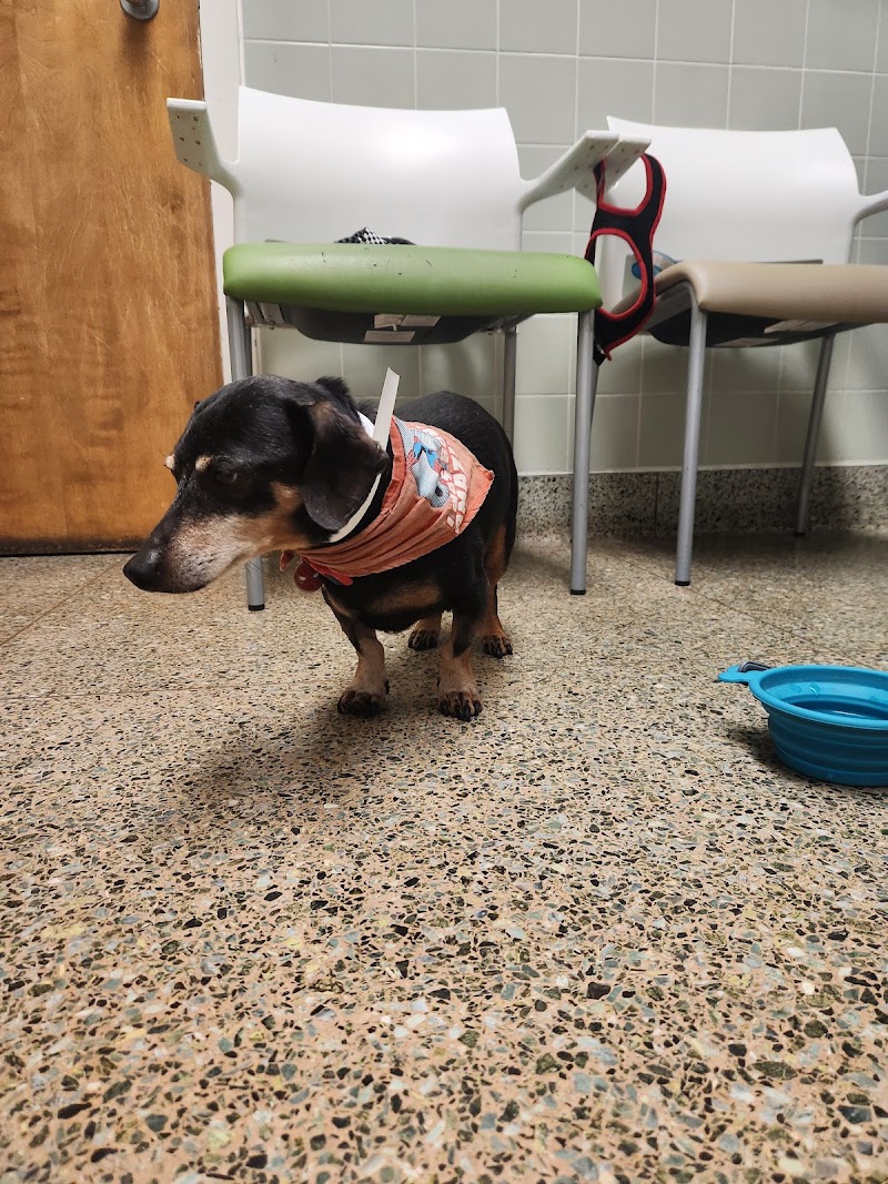 UC Davis Veterinary Hospital - Small Animal Clinic