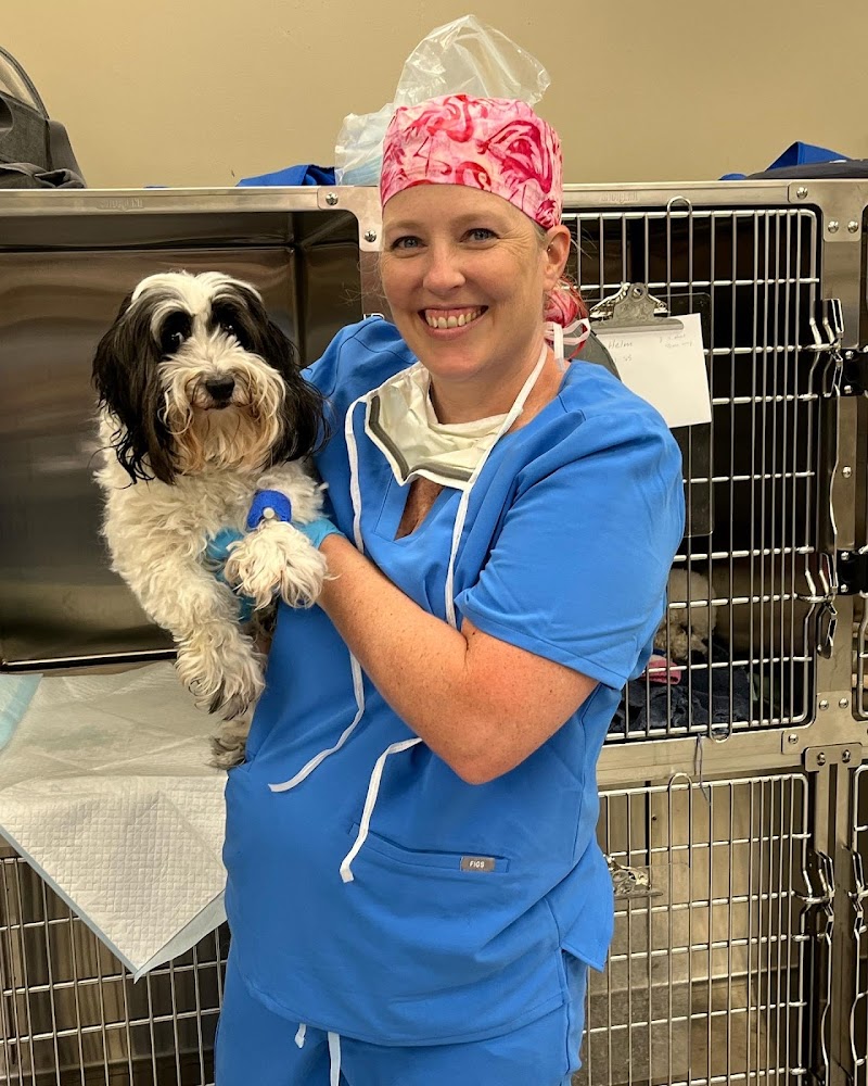 H-Town Veterinary Specialists (Spring Branch)