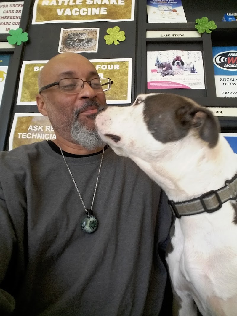 Southern California Veterinary Hospital & Animal Skin Clinic
