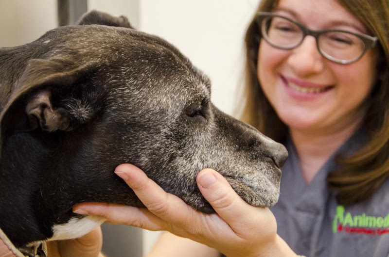 The Animedic Veterinary Hospital - Philadelphia