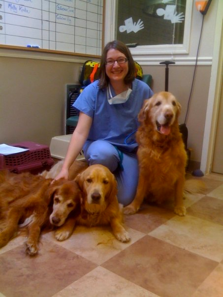 The Animedic Veterinary Hospital
