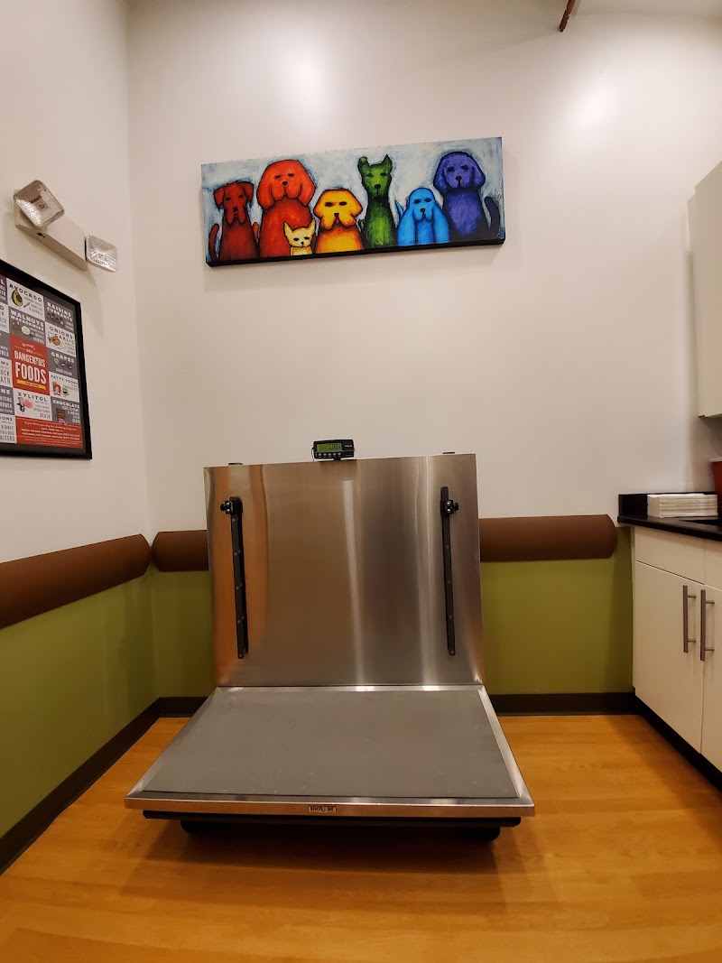 The Animedic Veterinary Hospital