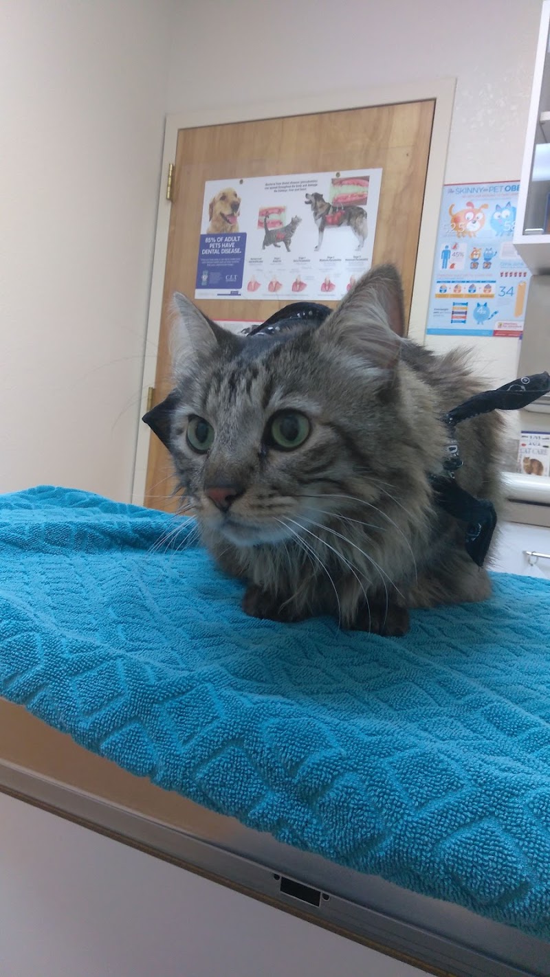 Quito Veterinary Hospital