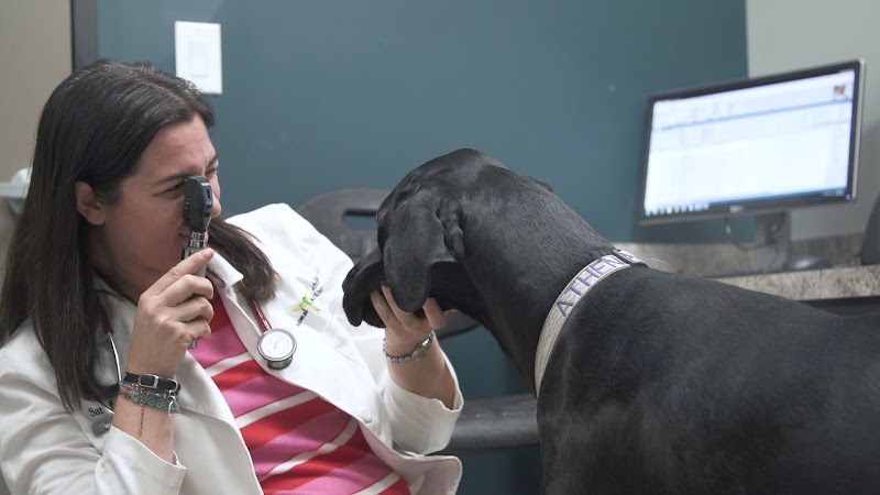 Animal Medical Center of the Village